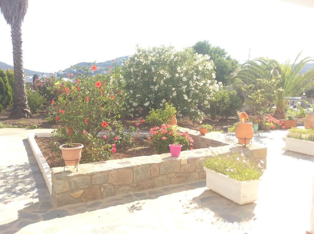 Nicolas Studios Σκάλα Εξωτερικό φωτογραφία